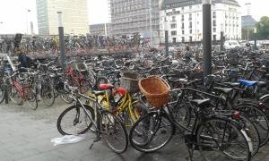 bicis-12143331_10204976439235511_778710586849759378_n